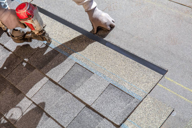 Best Roof Gutter Cleaning  in New Miami, OH